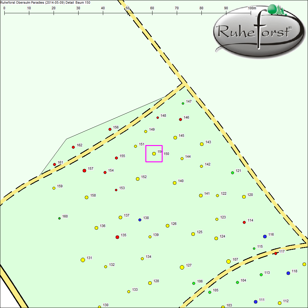 Detailkarte zu Baum 150