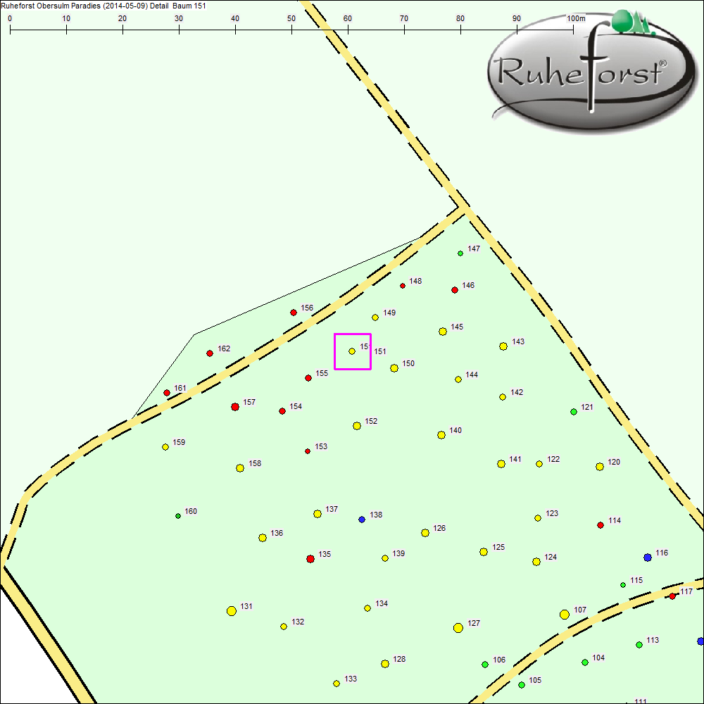 Detailkarte zu Baum 151