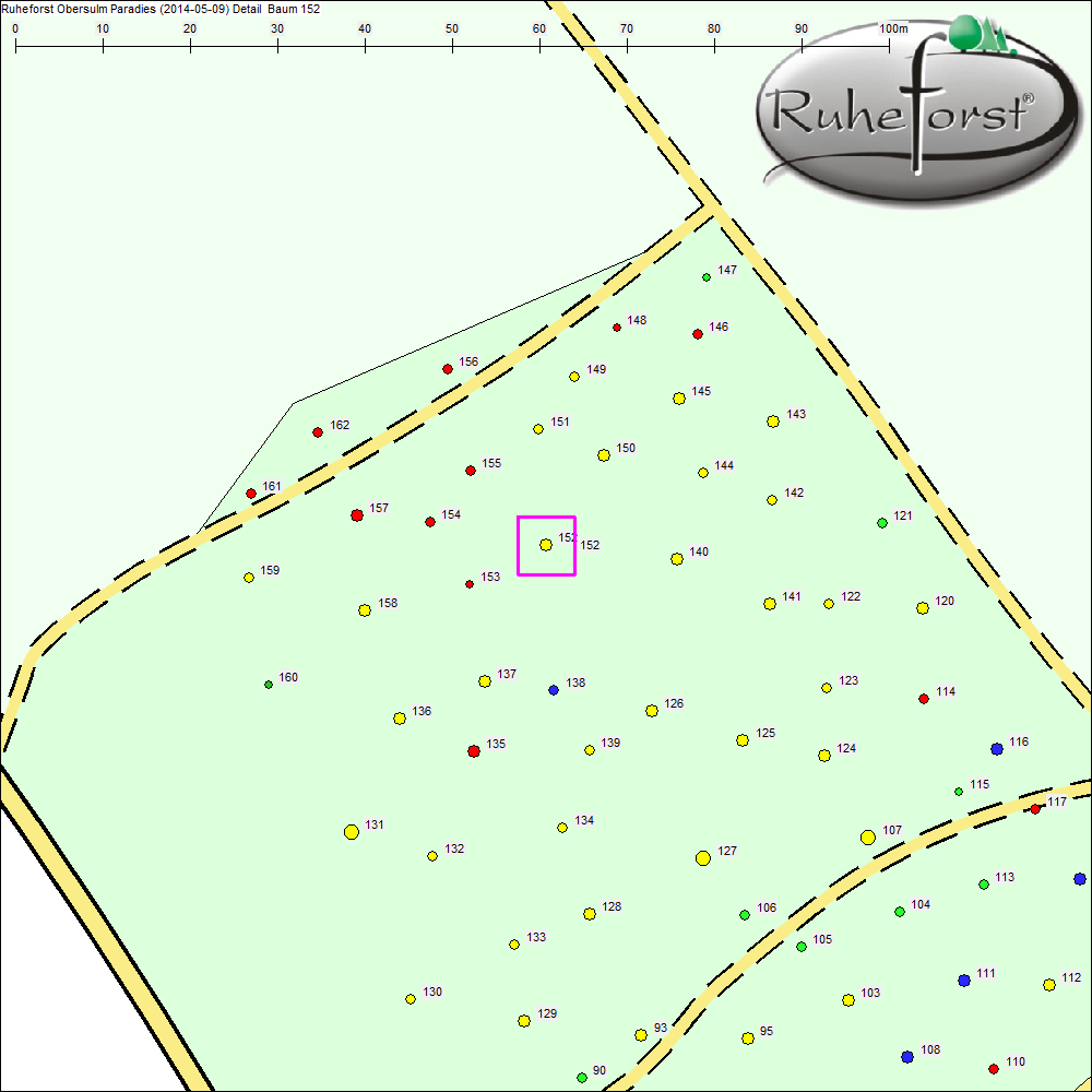 Detailkarte zu Baum 152