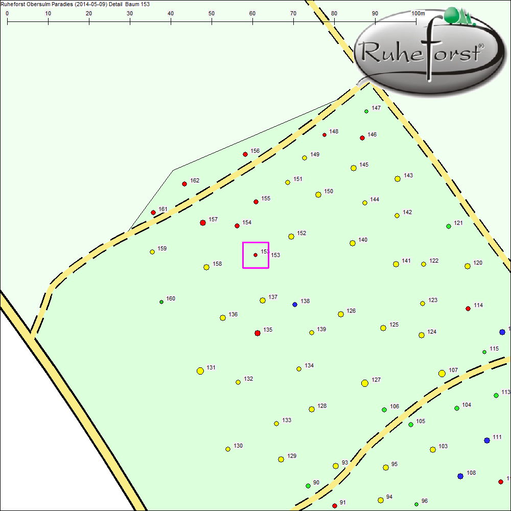 Detailkarte zu Baum 153