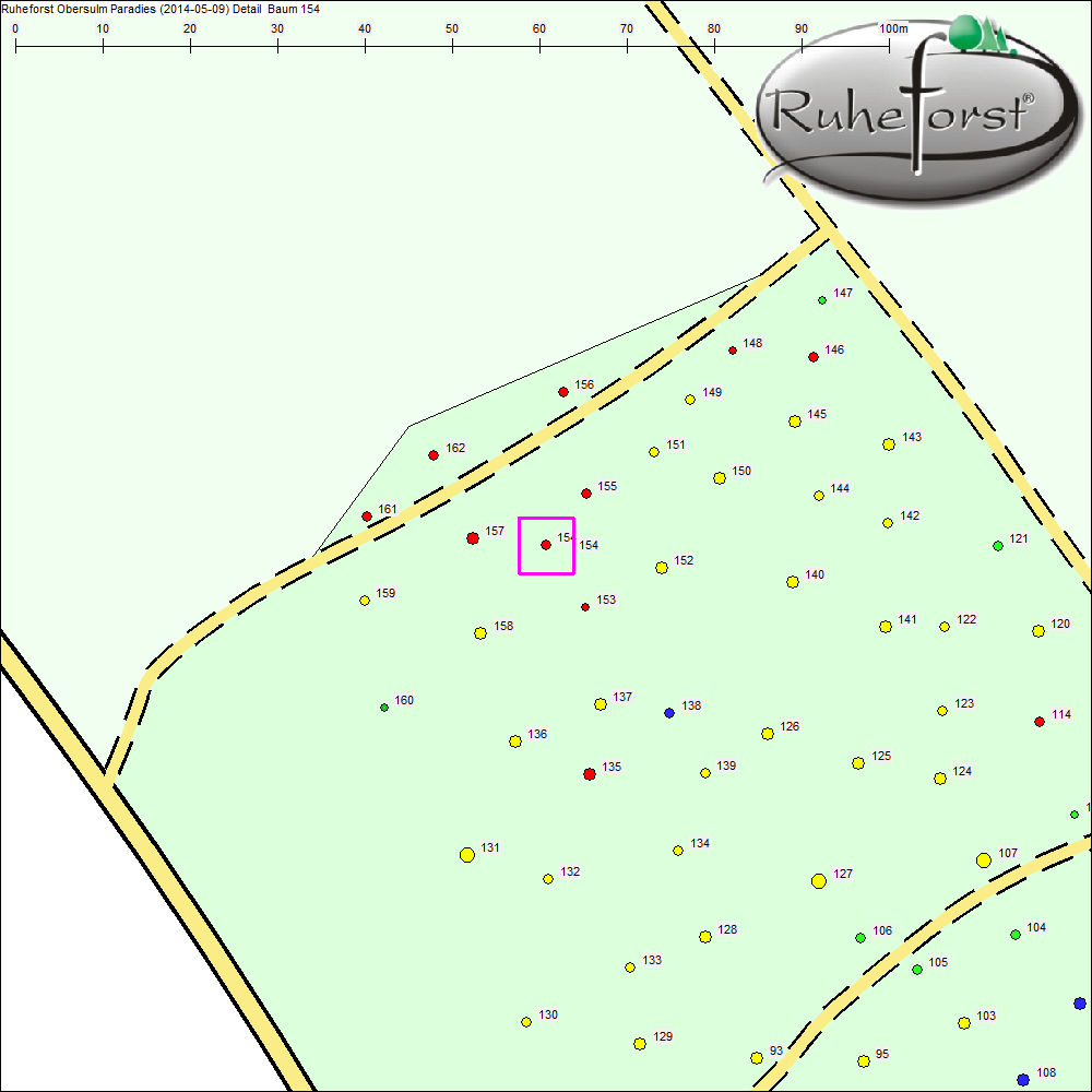 Detailkarte zu Baum 154