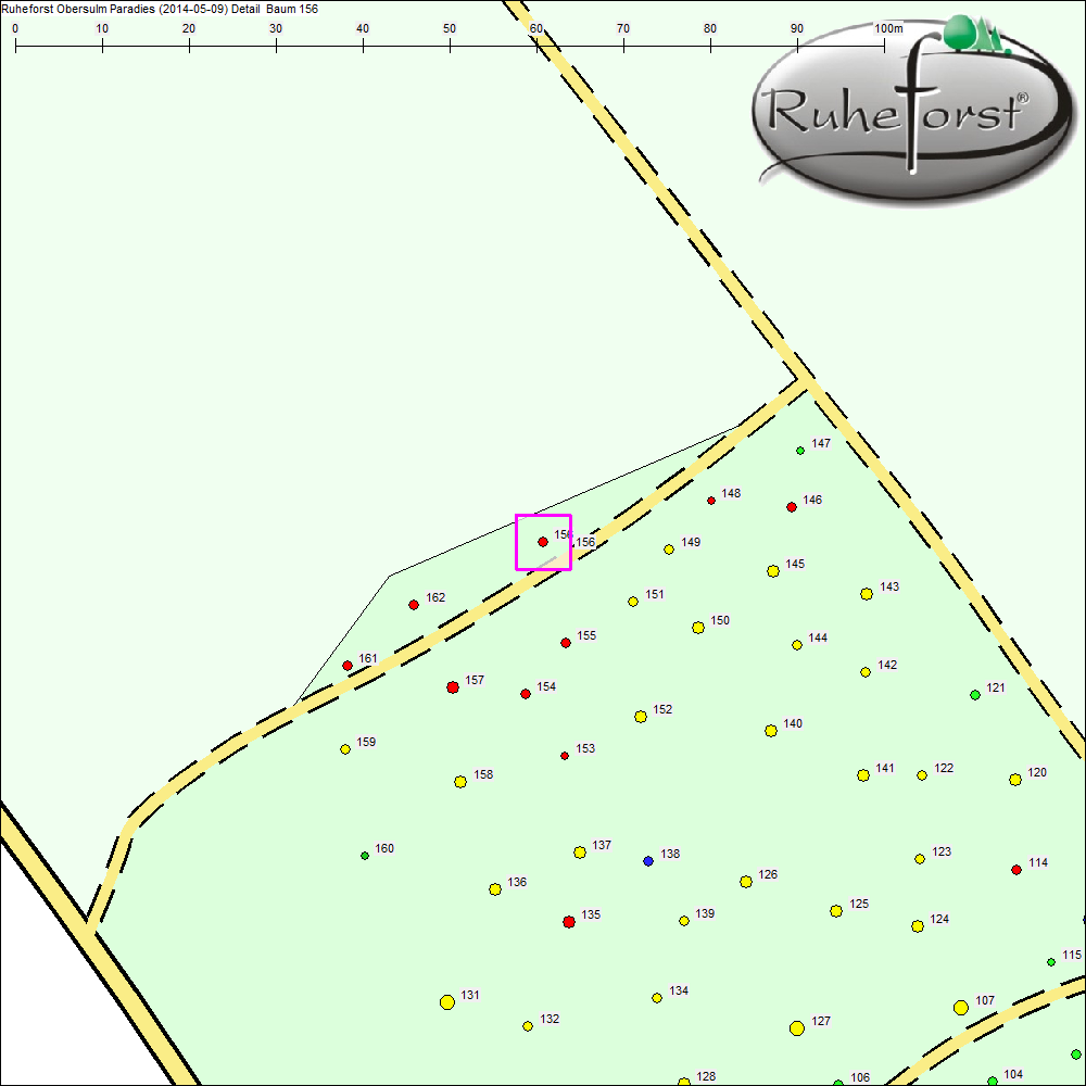 Detailkarte zu Baum 156