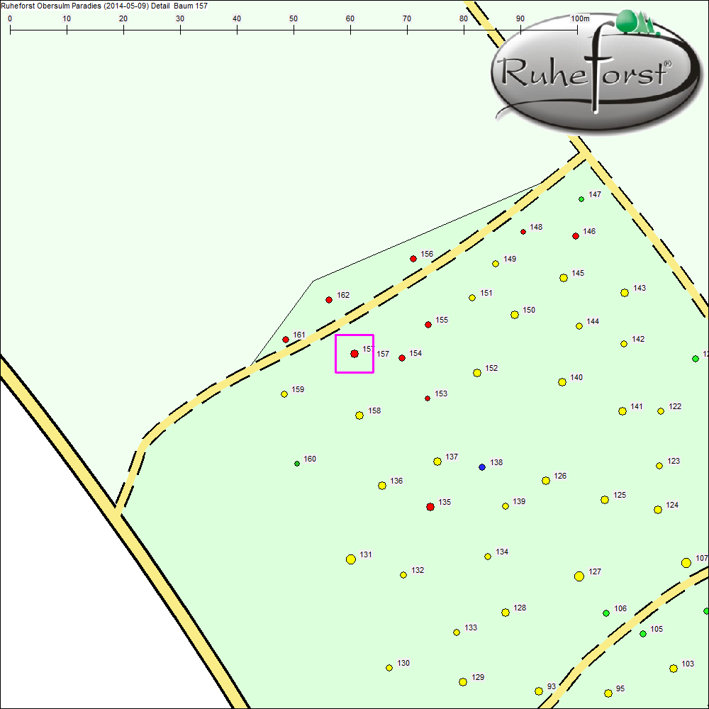 Detailkarte zu Baum 157