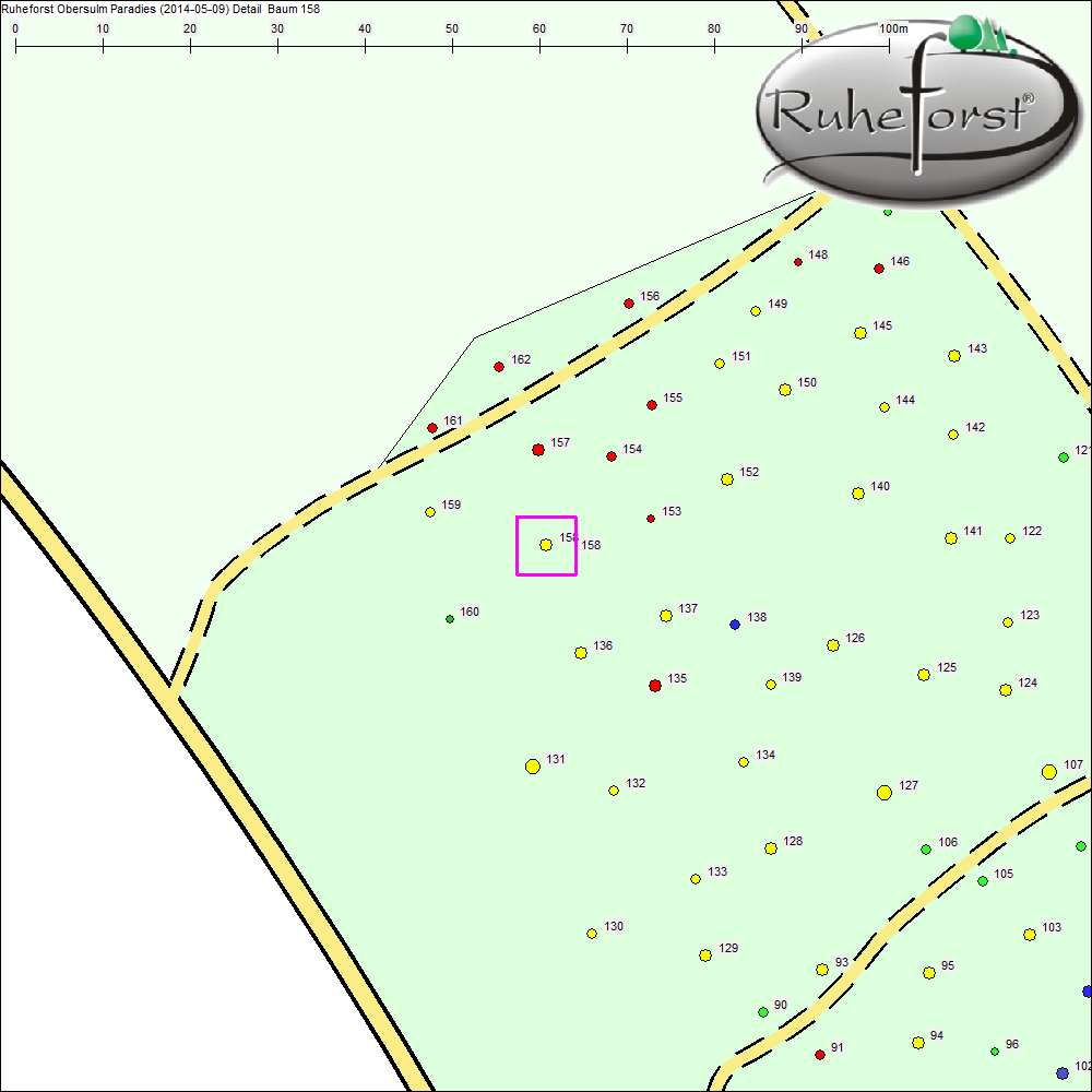 Detailkarte zu Baum 158