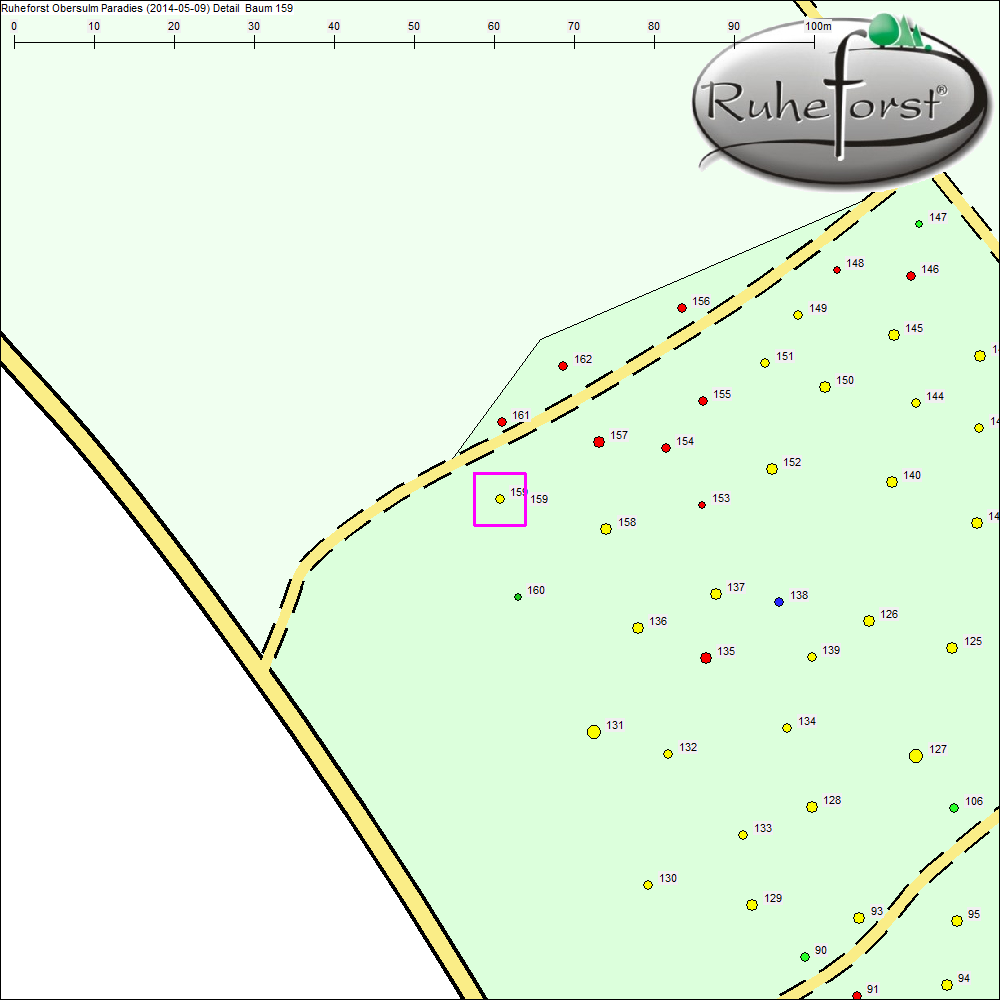 Detailkarte zu Baum 159
