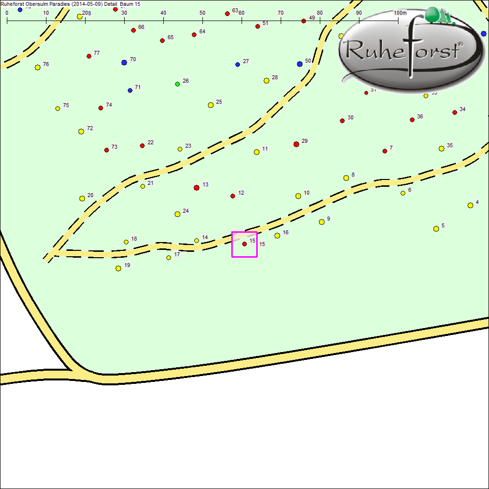 Detailkarte zu Baum 15