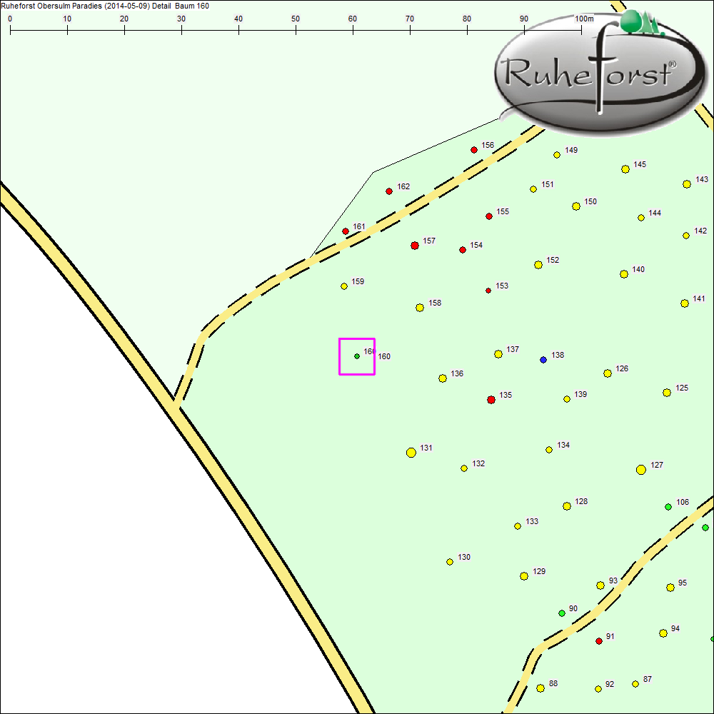 Detailkarte zu Baum 160