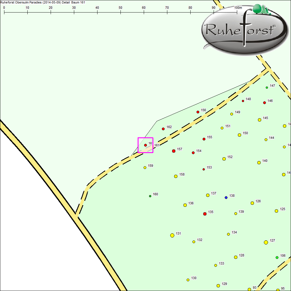 Detailkarte zu Baum 161