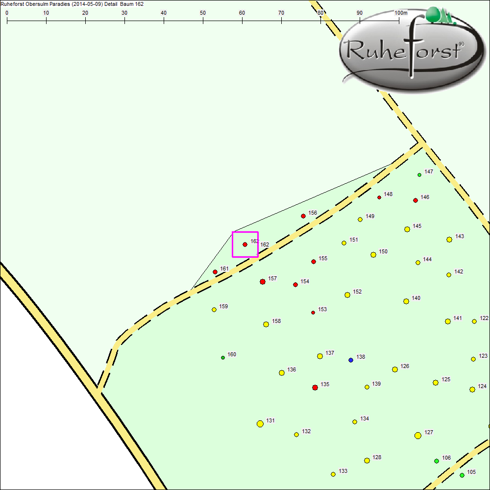 Detailkarte zu Baum 162
