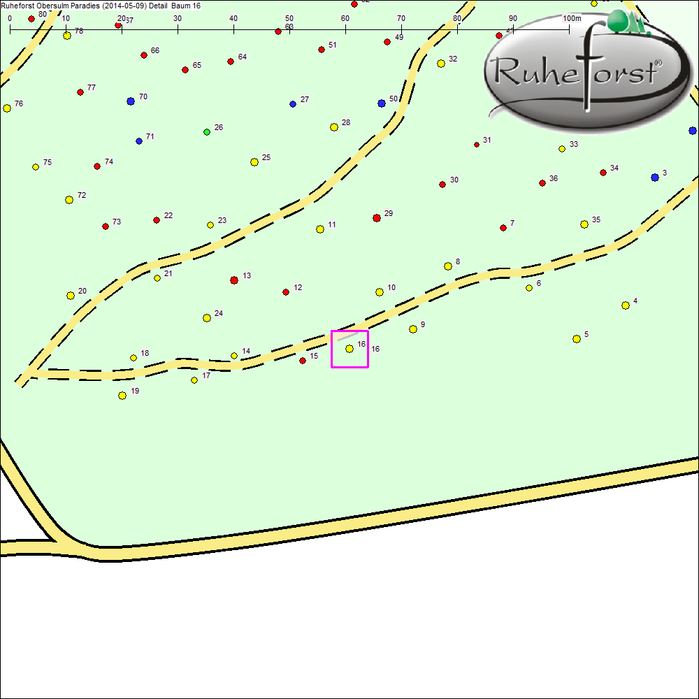 Detailkarte zu Baum 16