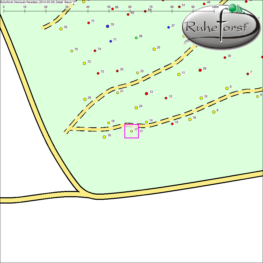 Detailkarte zu Baum 17