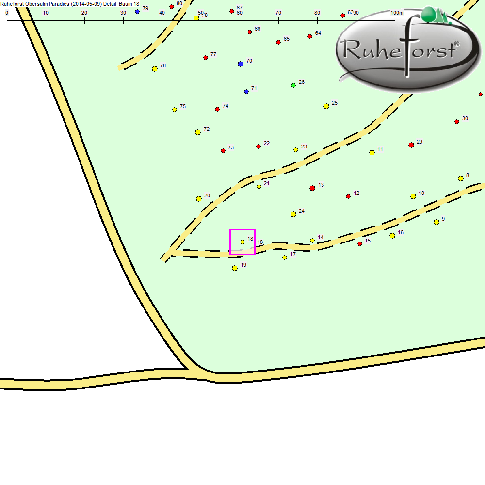 Detailkarte zu Baum 18