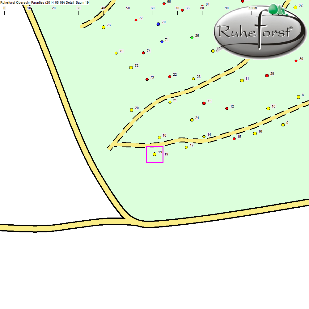 Detailkarte zu Baum 19