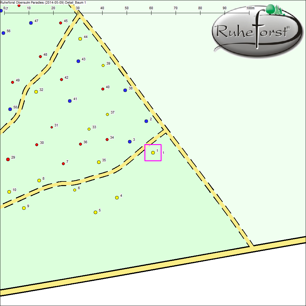 Detailkarte zu Baum 1