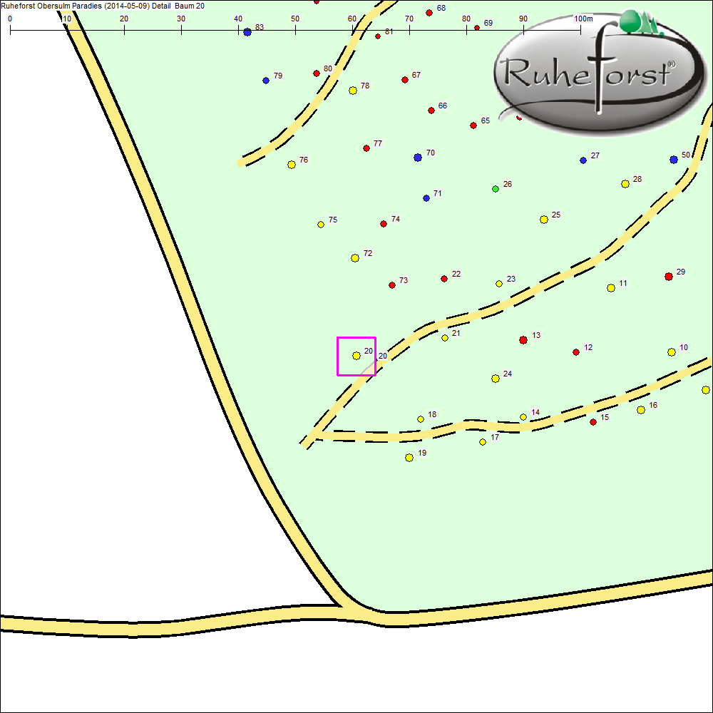 Detailkarte zu Baum 20