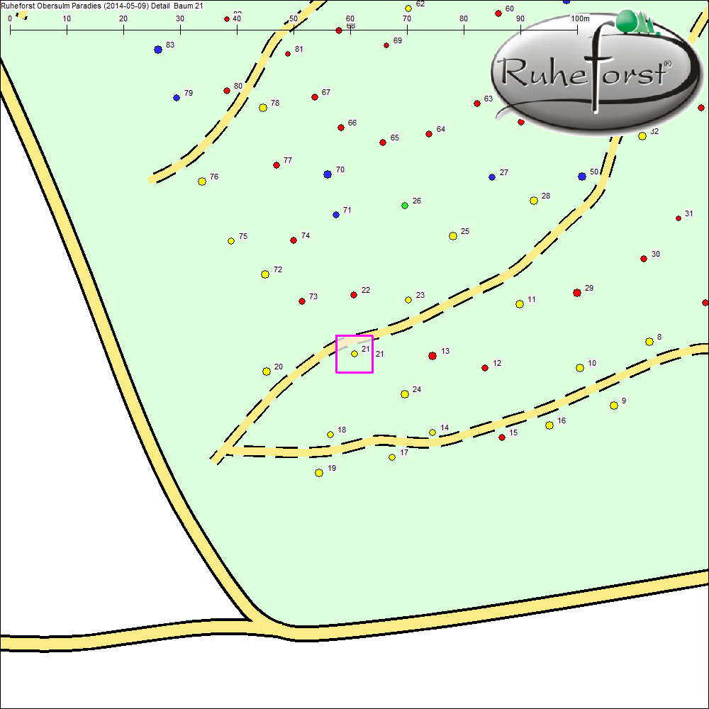 Detailkarte zu Baum 21