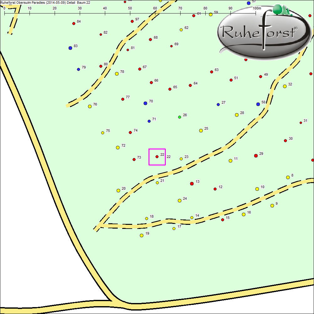 Detailkarte zu Baum 22