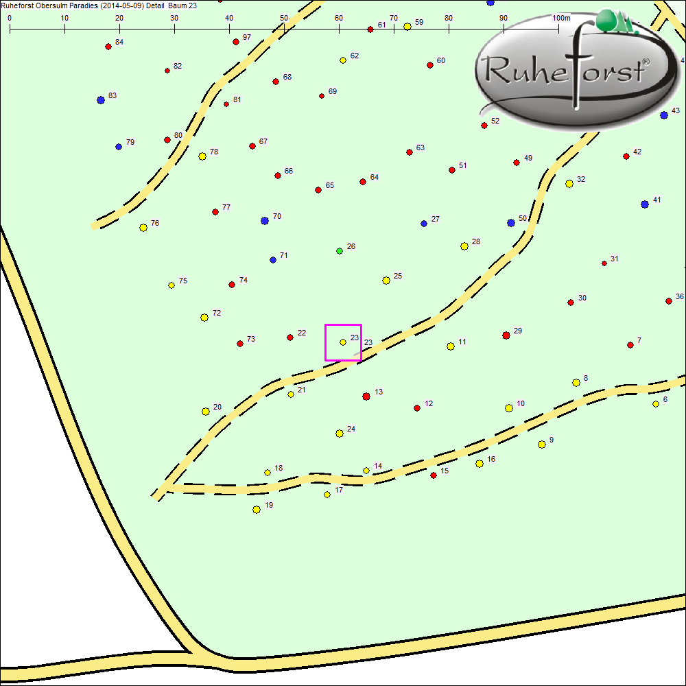 Detailkarte zu Baum 23