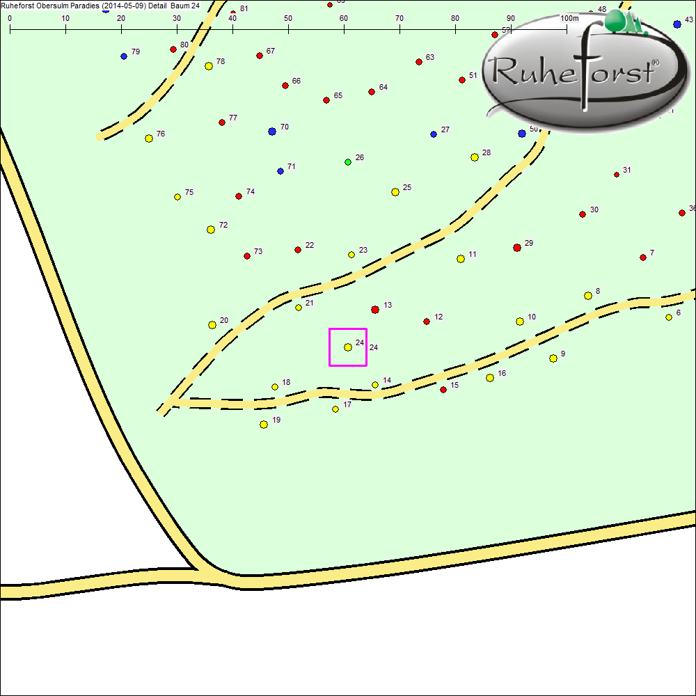 Detailkarte zu Baum 24