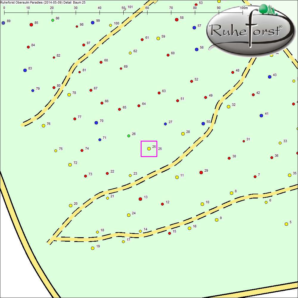 Detailkarte zu Baum 25