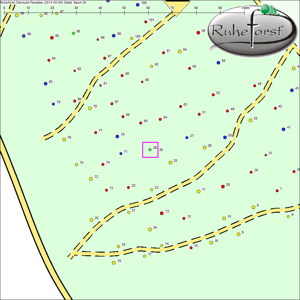 Detailkarte zu Baum 26