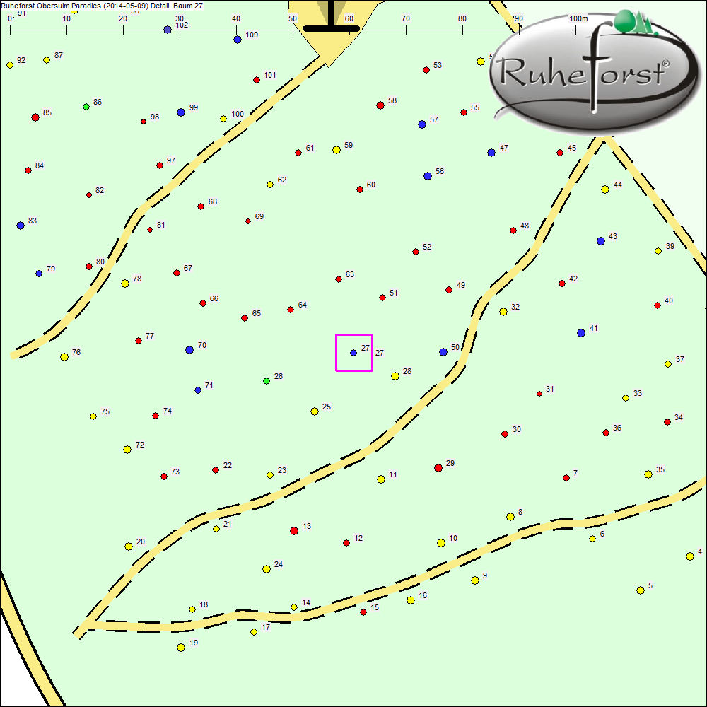Detailkarte zu Baum 27
