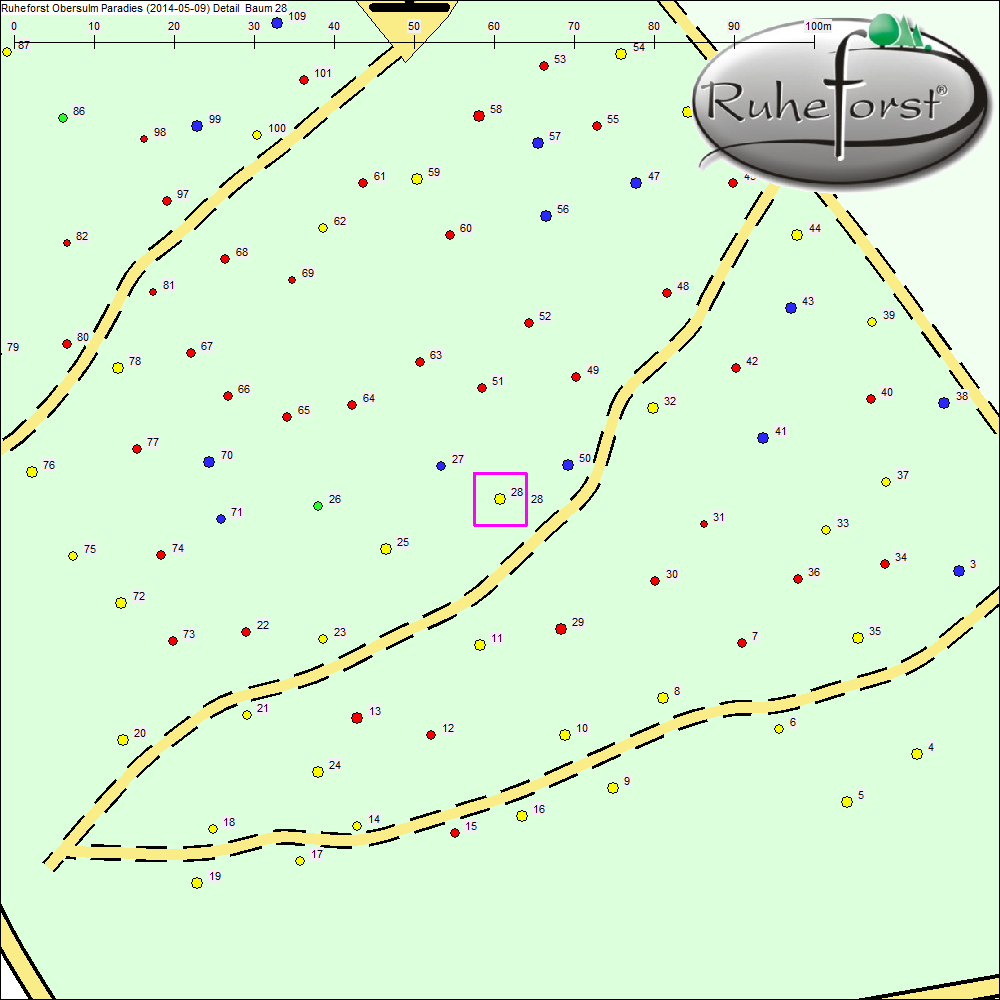 Detailkarte zu Baum 28