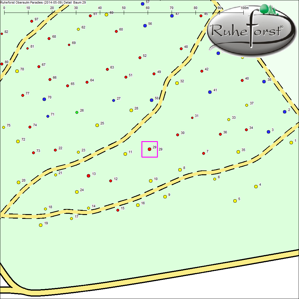Detailkarte zu Baum 29
