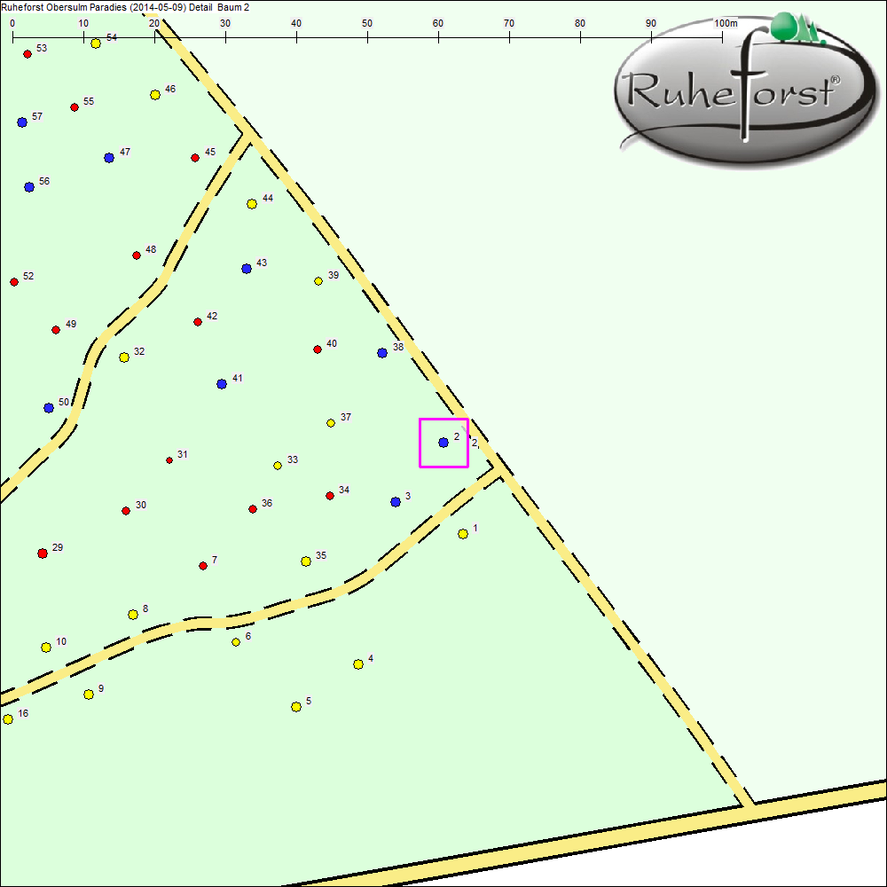 Detailkarte zu Baum 2