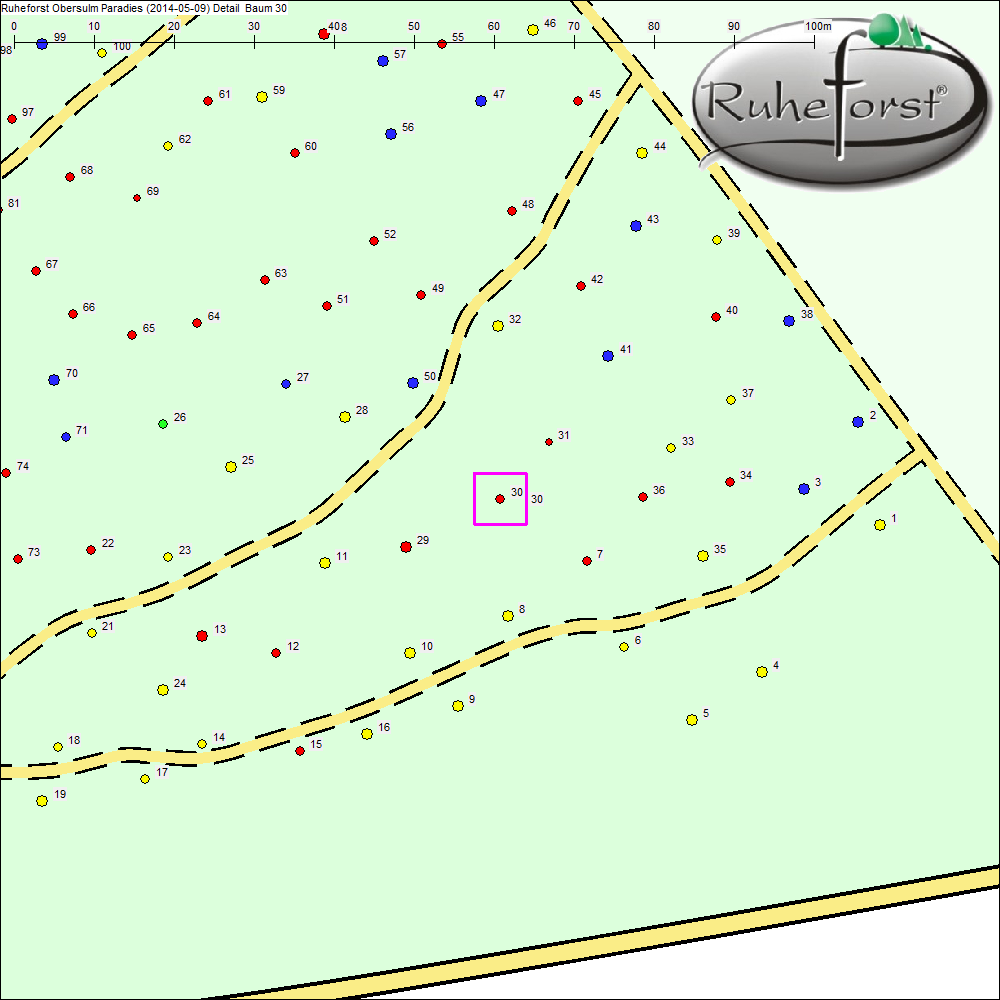 Detailkarte zu Baum 30