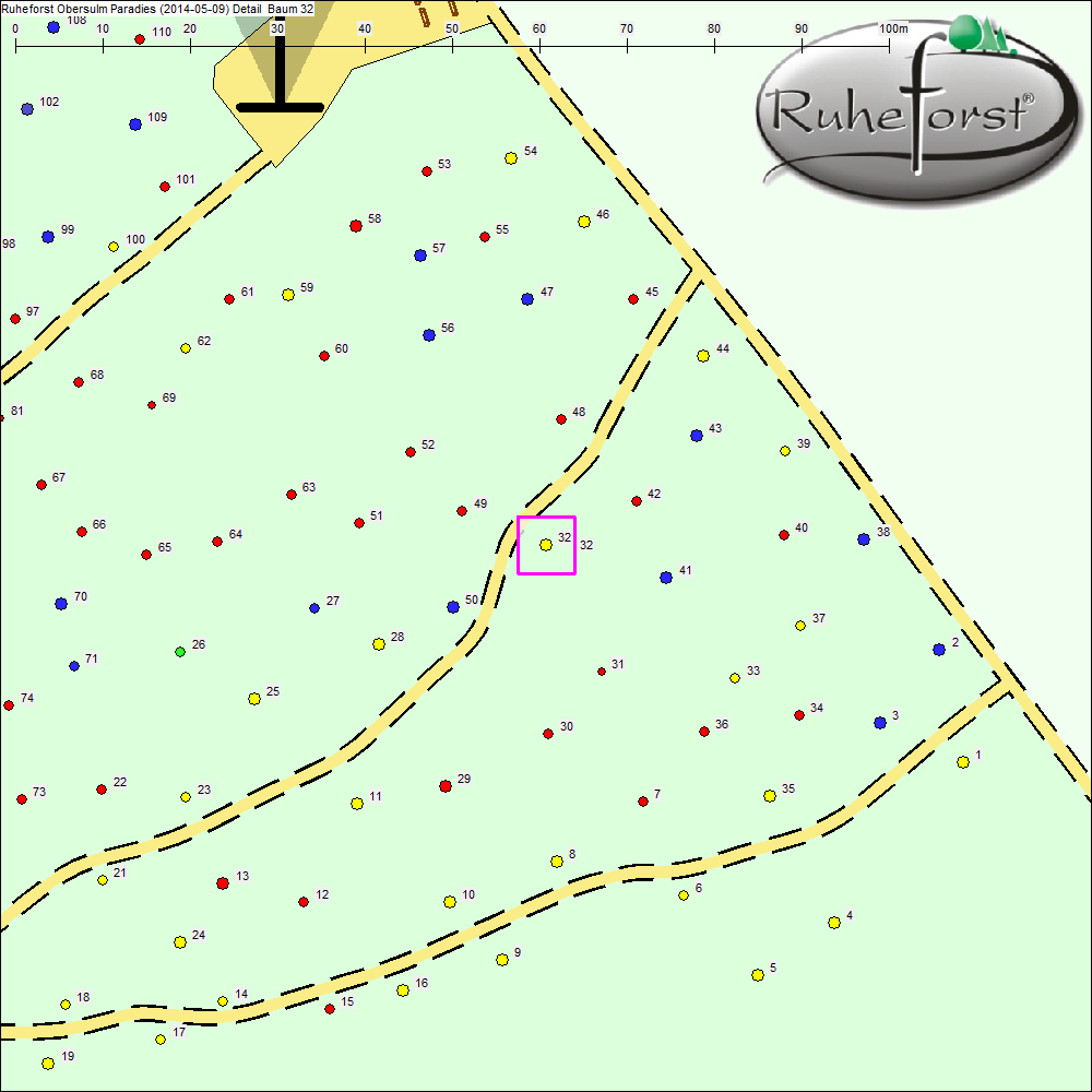 Detailkarte zu Baum 32