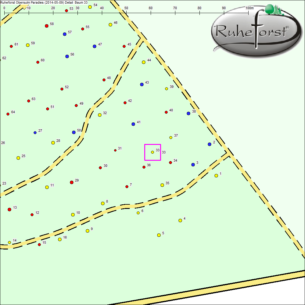 Detailkarte zu Baum 33