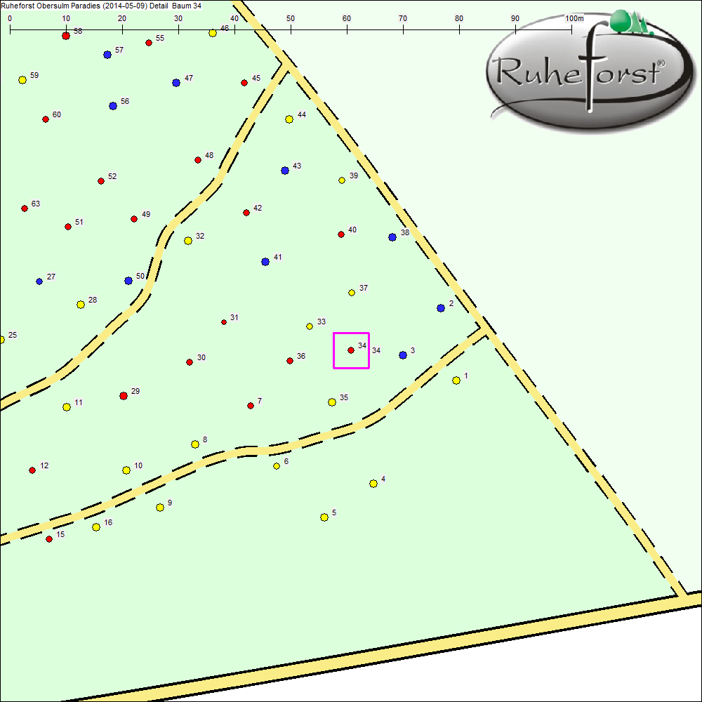 Detailkarte zu Baum 34