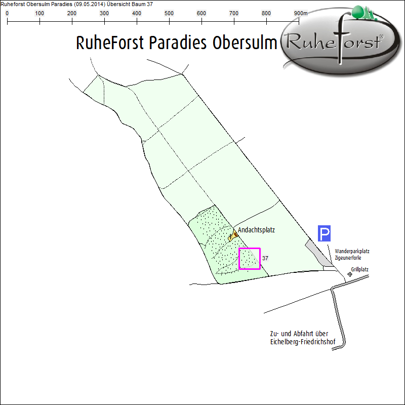 &Uuml;bersichtskarte zu Baum 37