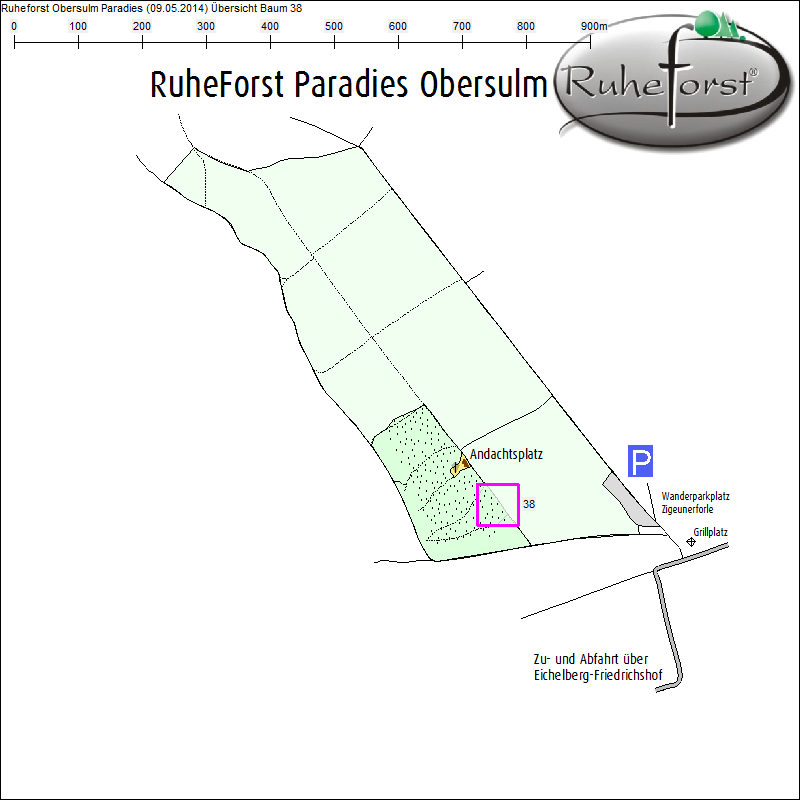 &Uuml;bersichtskarte zu Baum 38
