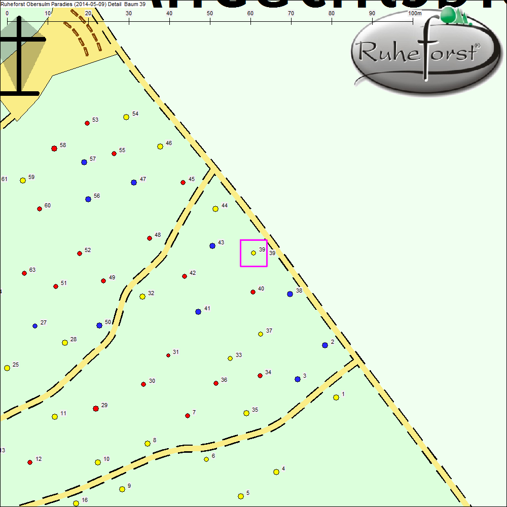 Detailkarte zu Baum 39