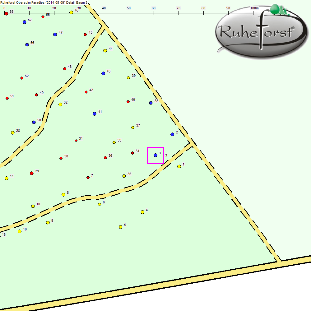 Detailkarte zu Baum 3