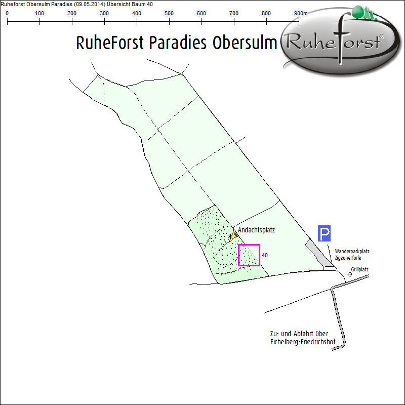 &Uuml;bersichtskarte zu Baum 40