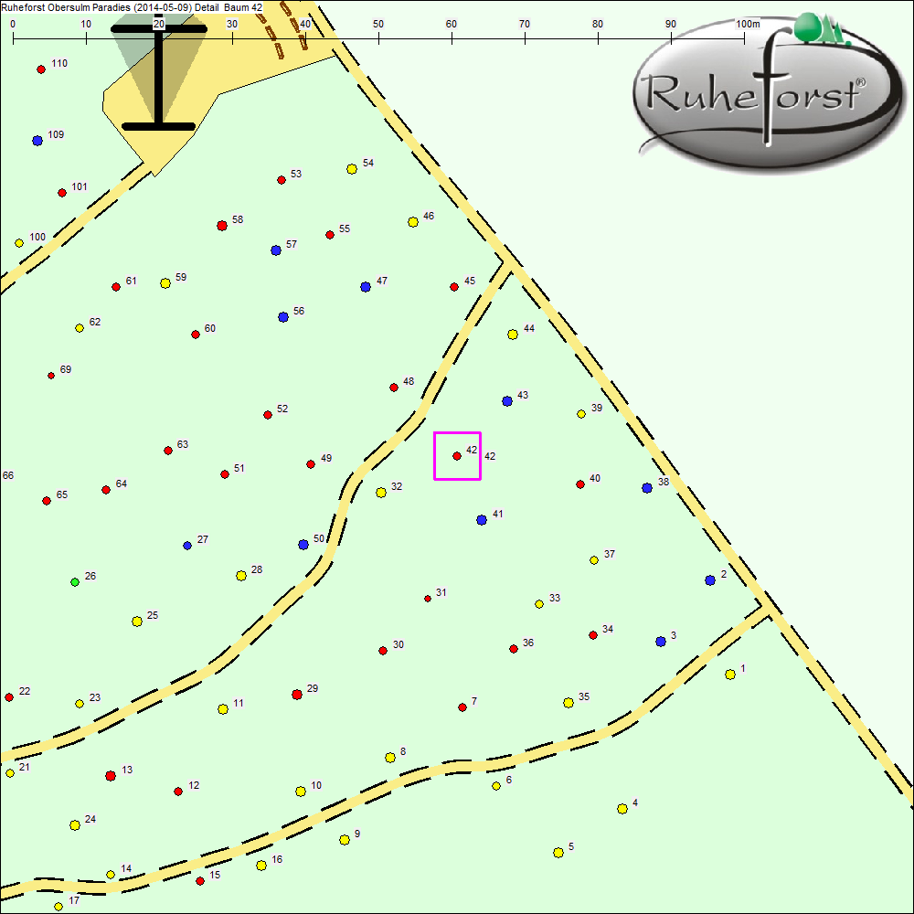 Detailkarte zu Baum 42