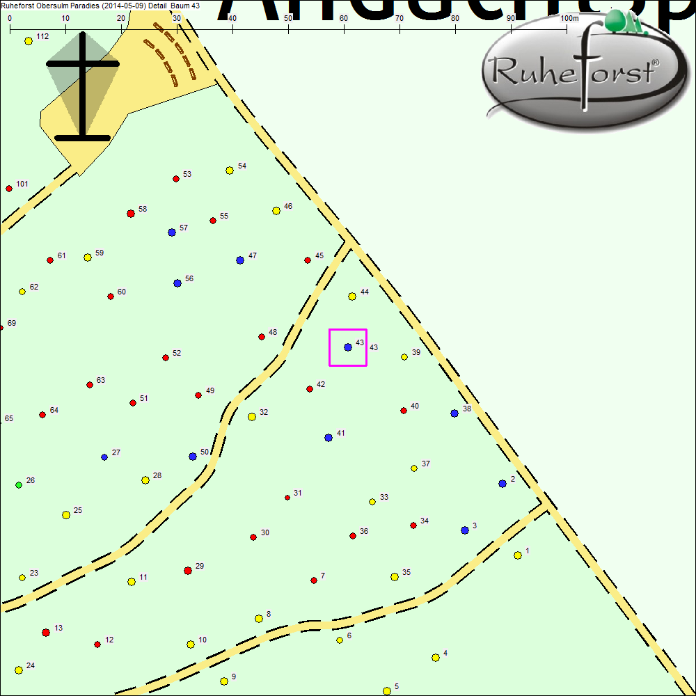 Detailkarte zu Baum 43