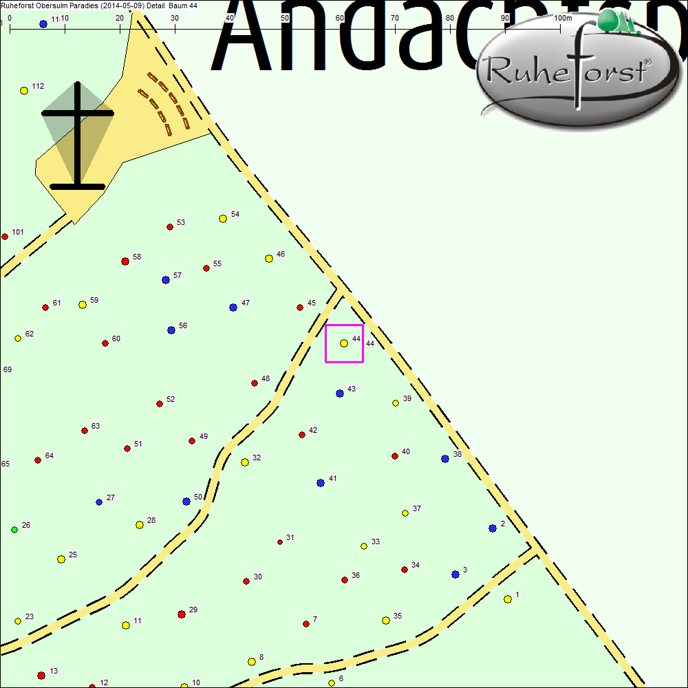 Detailkarte zu Baum 44