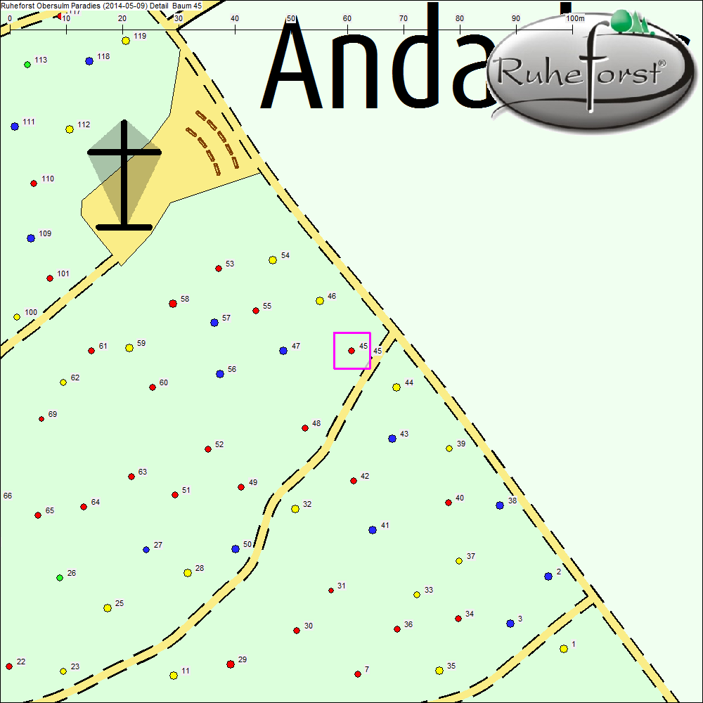 Detailkarte zu Baum 45