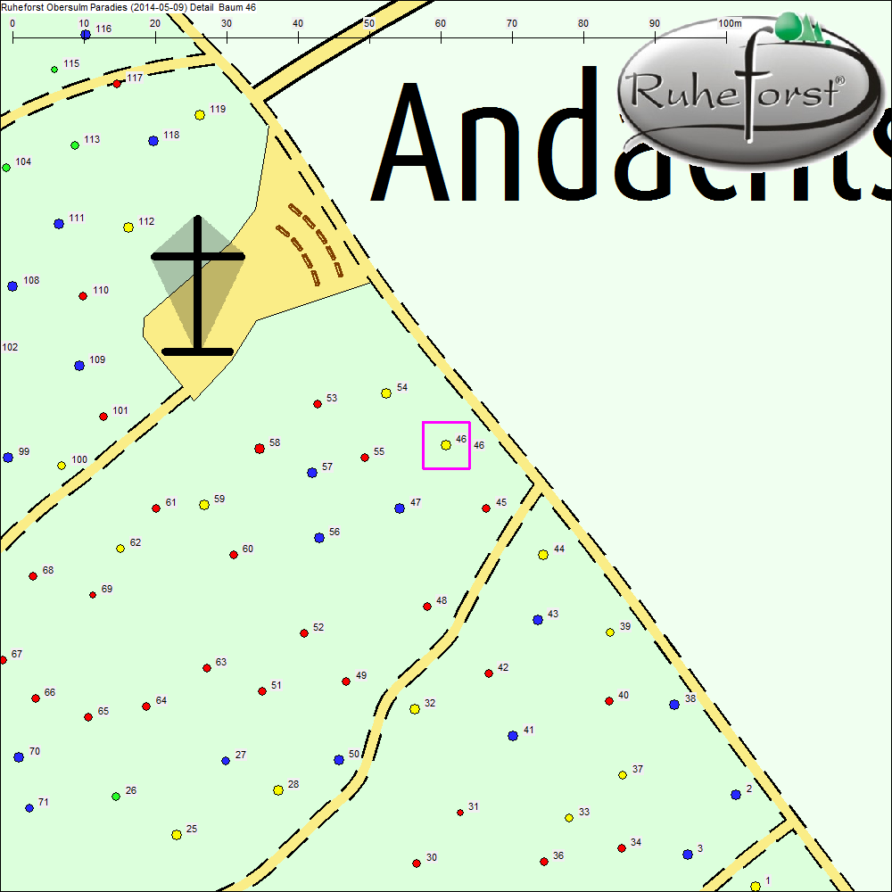 Detailkarte zu Baum 46