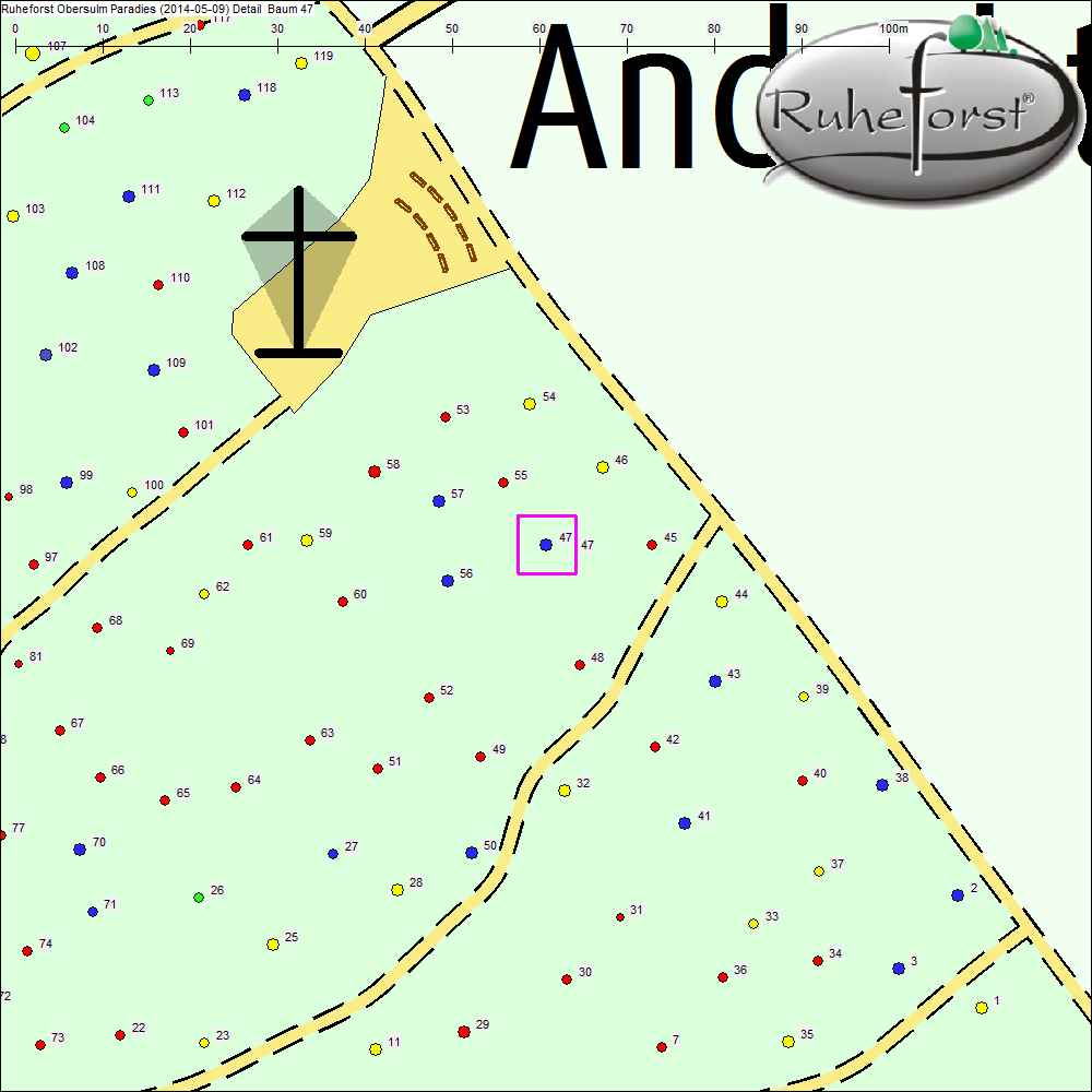 Detailkarte zu Baum 47