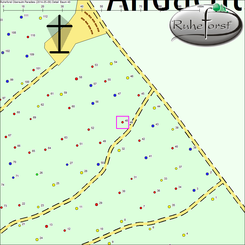 Detailkarte zu Baum 48