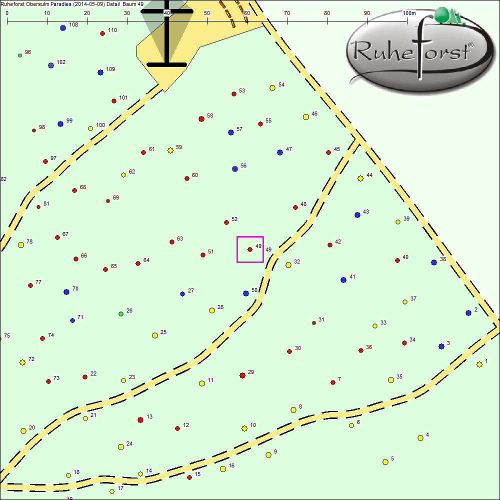 Detailkarte zu Baum 49