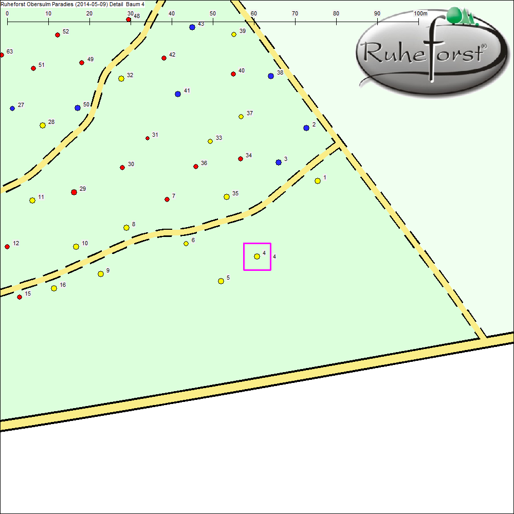Detailkarte zu Baum 4