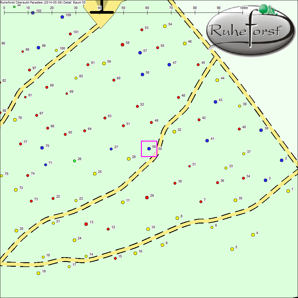 Detailkarte zu Baum 50