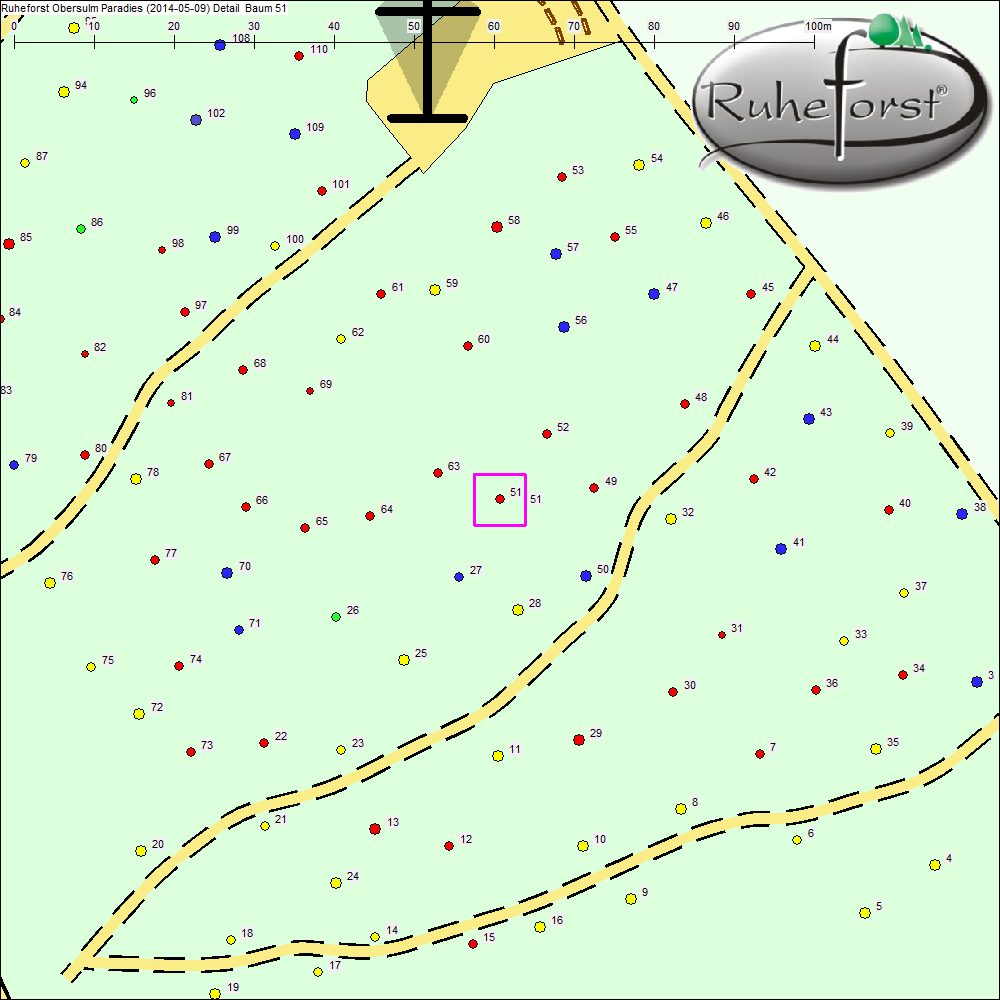 Detailkarte zu Baum 51