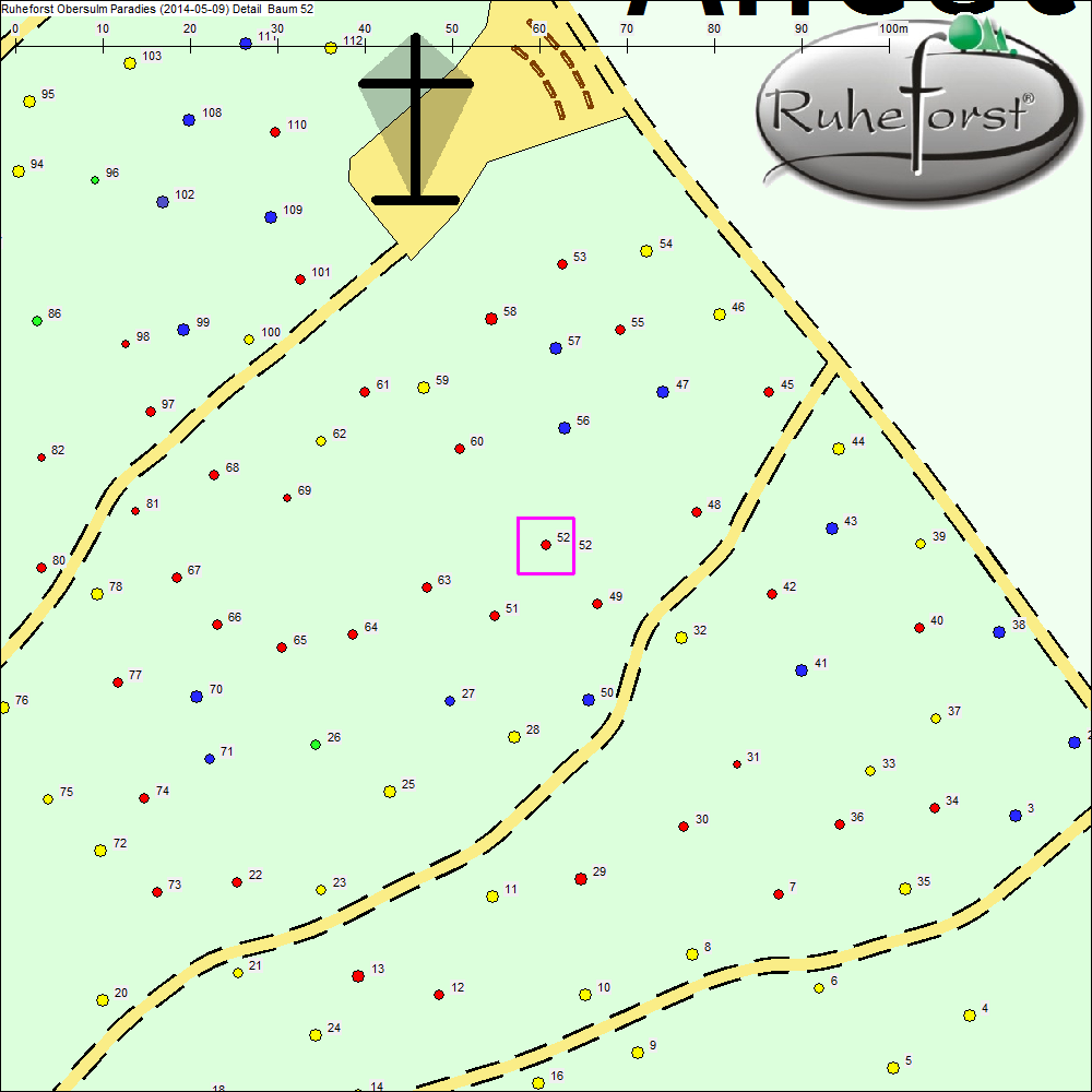 Detailkarte zu Baum 52